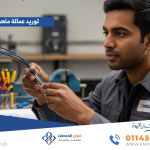 توريد عمالة ماهرة